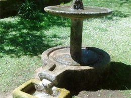Fuente en jardín. Lugo